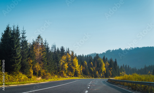 Road and autumn forest