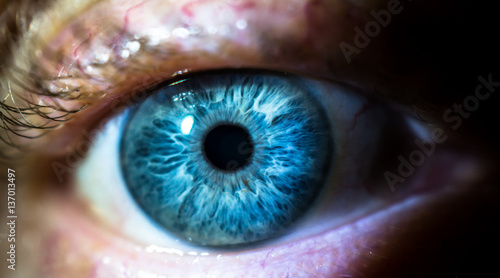 Close up, human eye photo