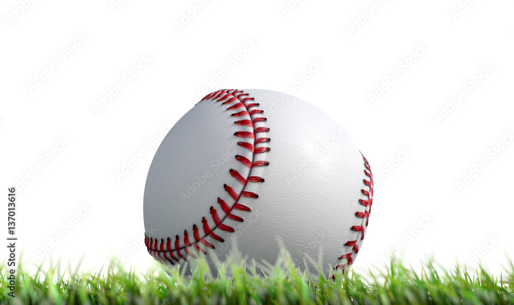 Baseball Ball Resting On Grass