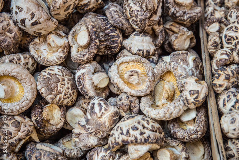 Grocery bin of shiitake mushrooms Grocery bin of shiitake mushrooms