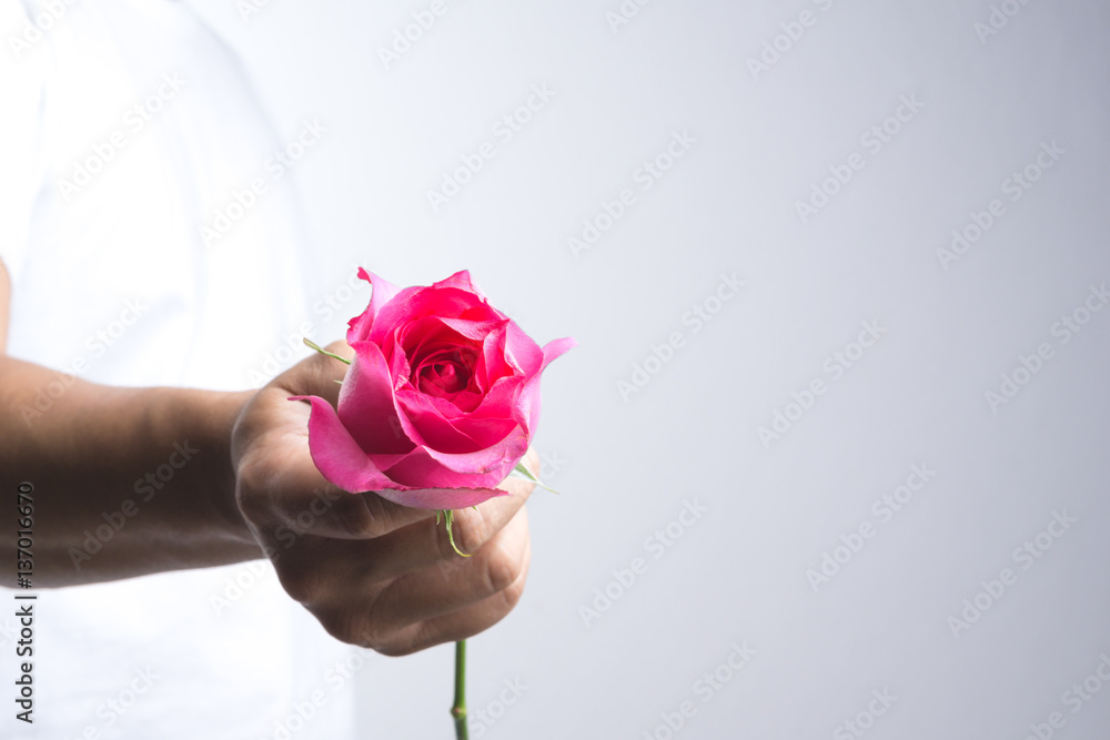 Εκτύπωση καμβά A man hand with pink rose flower