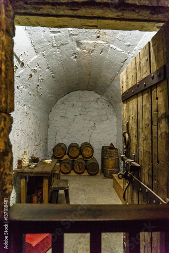 Old Fort Niagara photo