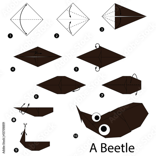 step by step instructions how to make origami A Beetle.