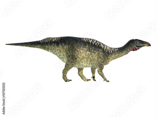 Lurdusaurus Side Profile - Lurdusaurus was a herbivorous ornithopod iguanodont dinosaur that lived in Niger in the Cretaceous Period. © Catmando