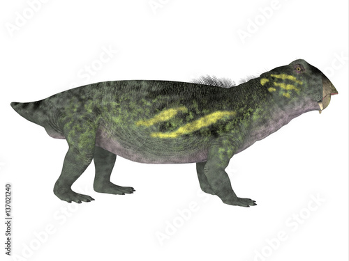Lytrosaurus Side Profile - Lystrosaurus was a dicynodont therapsid dinosaur that lived in the Permian and Triassic Periods of Antarctica, India, Africa, China, Mongolia and Russia. © Catmando