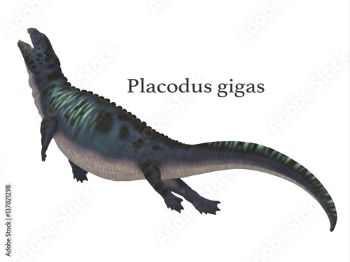 Placodus Dinosaur with Font - Placodus was a marine reptile that swam in the shallow seas of the Triassic Period in Europe and China.