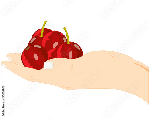 Berries cherry on palm