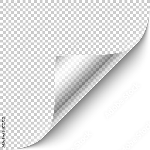 Curled corner design elemen...
