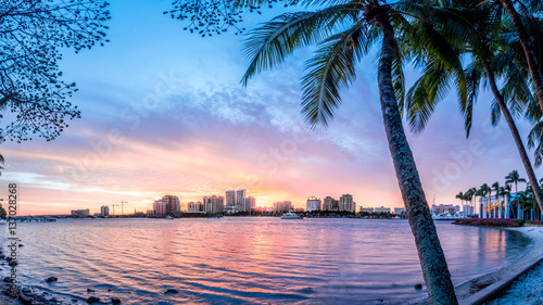 West Palm beach skyline with Palm in foreground photo