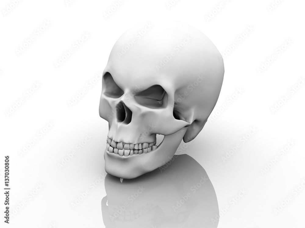 Human skull on white background. 3D illustration Human skull on white background. 3D illustration