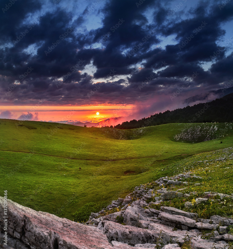 Fototapeta premium Summer vivid landscape in the mountains at sunrise