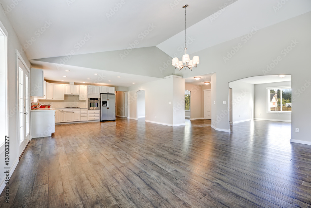 © Iriana Shiyan - Spacious rambler home interior with vaulted ceiling