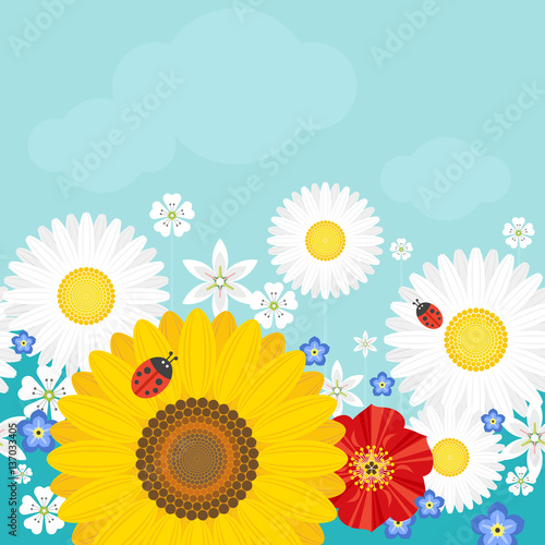Summer background with flowers and ladybirds