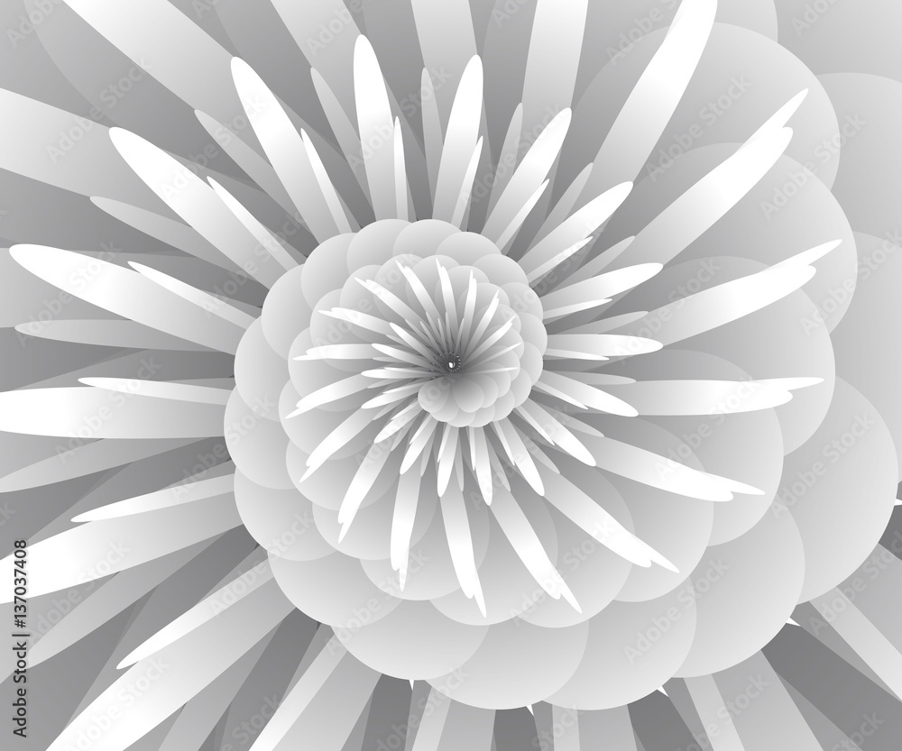 Fototapeta premium Abstract of white line