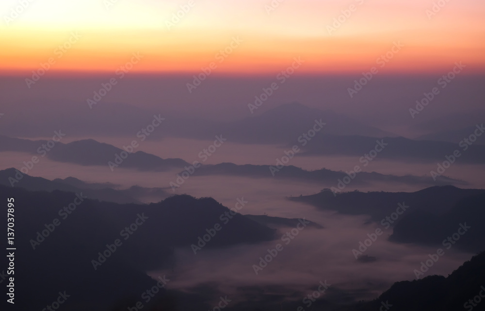 Landscape sunrise in nature at Pha Tang in Chiang rai,Thailand