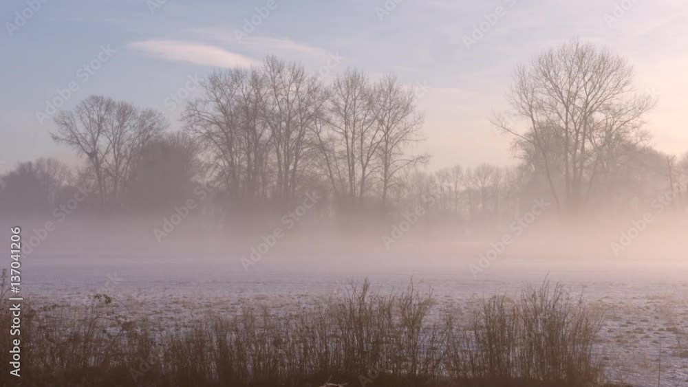 Morning Mist, Winter Farmland 4K. UHD. Timelapse of fog dissipating over a foggy, frozen farm field in winter.
Morning Mist, Winter Farmland 4K. UHD. Timelapse of fog dissipating over a foggy, frozen farm field in winter.