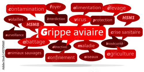 Nuage de Mots Grippe Aviaire v3