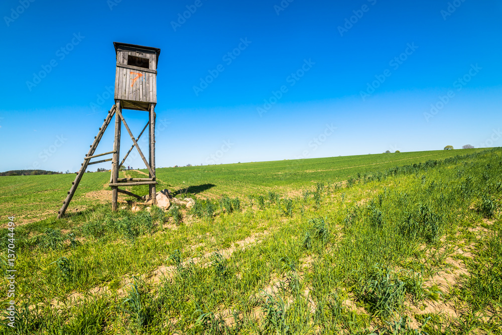 Fresh green field in the summer landscape, hunting pulpit and blue sky on the horizon