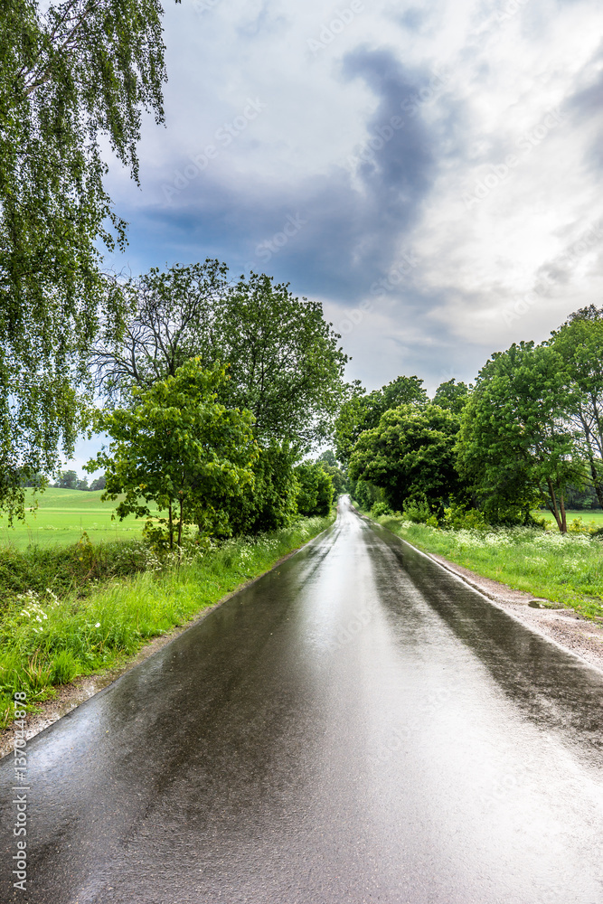 Country road, wet after rain in scenery of rural fields at spring, landscape