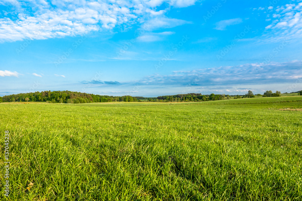 Spring meadow and blue sky over grass field, countryside landscape