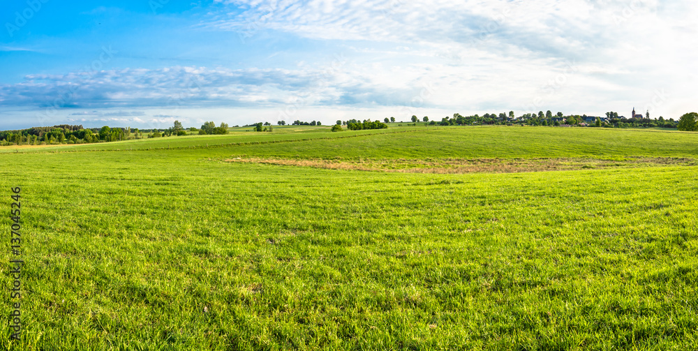 Landscape of field with grass, green meadow and blue sky in spring countryside scenery