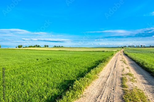 Blue sky  road and field with green grass in spring  countryside landscape