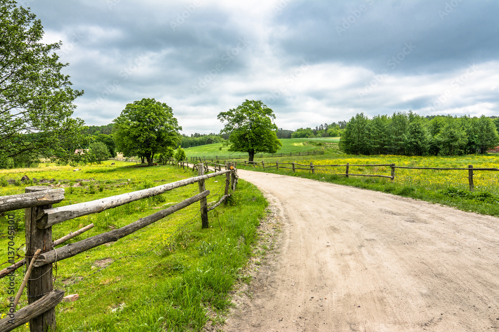 Rural road and green field, spring landscape of countryside