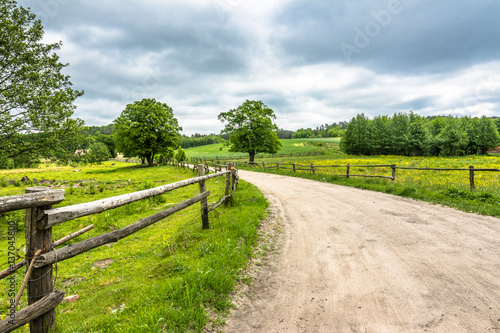 Rural road and green field  spring landscape of countryside