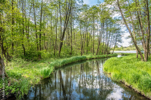 Spring landscape with green forest and river flowing into the lake