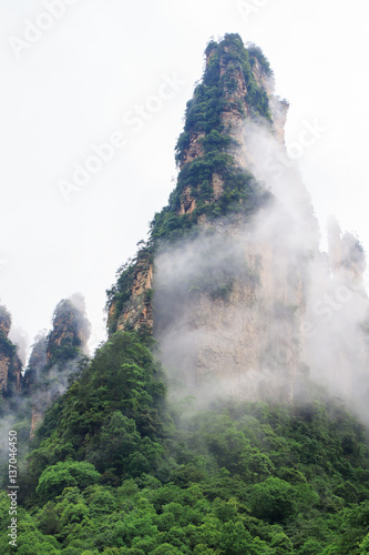 Photo of Beautiful Rock Mountains with Green Trees Surrounded by White Mist Clouds. Green Mountain Landscape