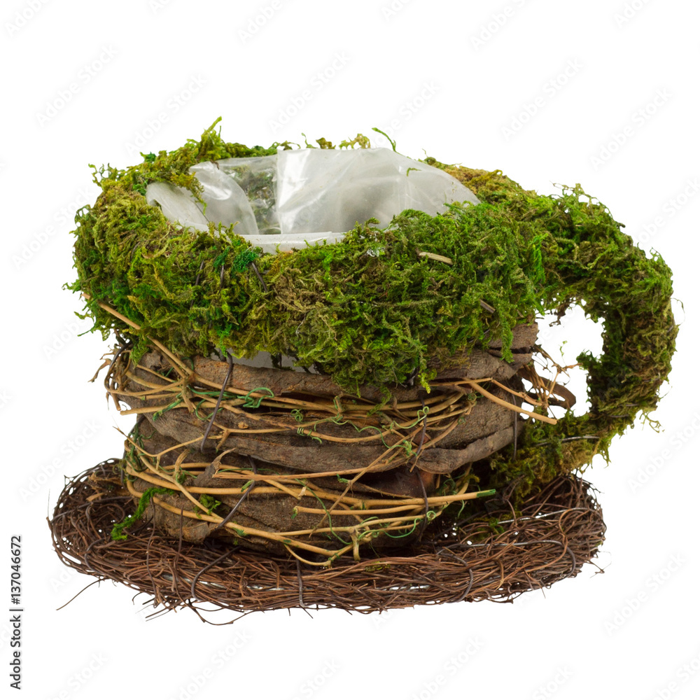 Mug decorated with moss and vine. Stock Photo | Adobe Stock
