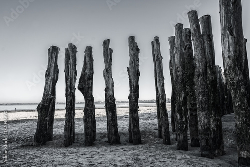 Wood piles at low tide on the beach of Saint Malo, France