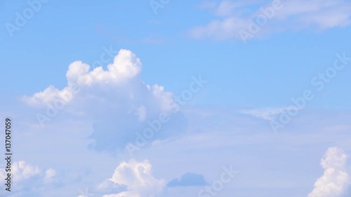 Flock of birds flying in blue sky. Nature background with wildlife.