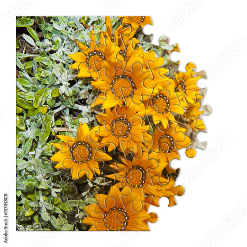 Spring concept in puzzle shape photo