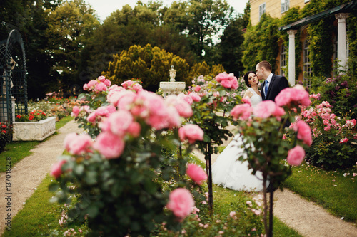 the groom kisses the bride among the rose bushes