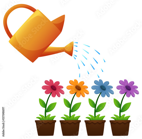 Watering can and flowers in garden