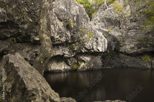 Waterfall near Montville, Sunshine Coast Hinterlands in Queensland.