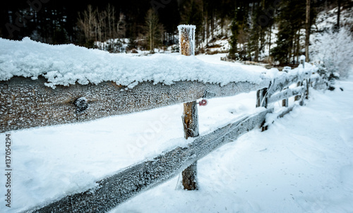 Winter country landscape with frozen timber - wooden fence.