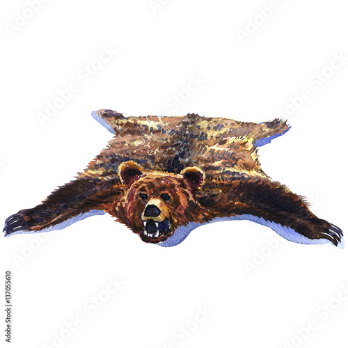 Photography Bearskin, big brown wild bear pelt isolated, hunting trophy, watercolor illustra
