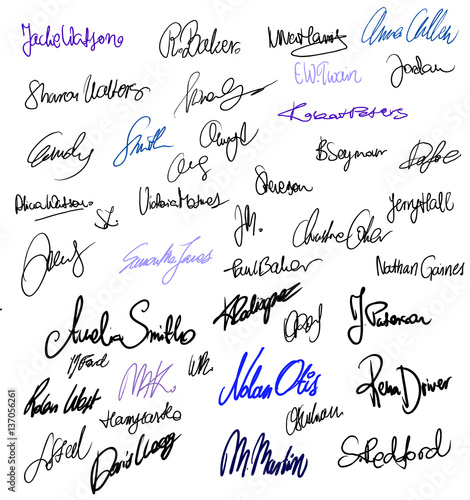 Different type signatures set vector
