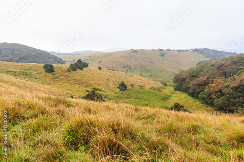 Quadro su tela Scenic path in Horton Plains