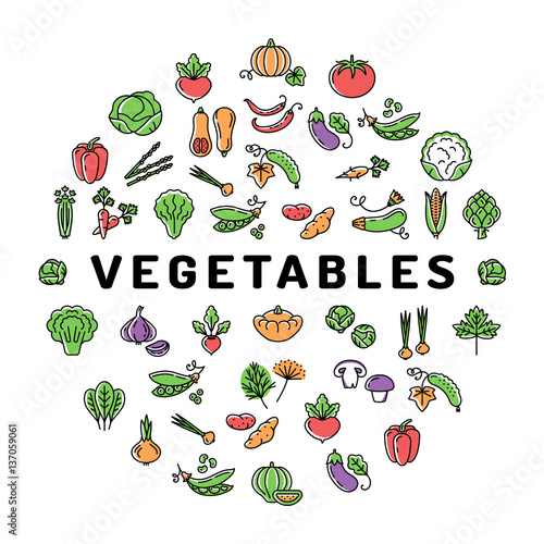 Vegetable icon circle infographics colorful veggies banner. Mega set of isolated vegetables symbols. Trendy thin line icons, Vector flat illustration
