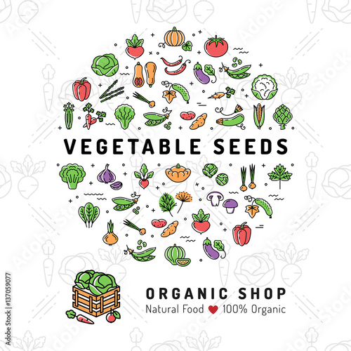 Vegetable seeds banner Organic shop Natural product card Seed growing flyer. Fresh vegetarian food, Veggie thin line icons, Vegetables background. Vector flat illustration