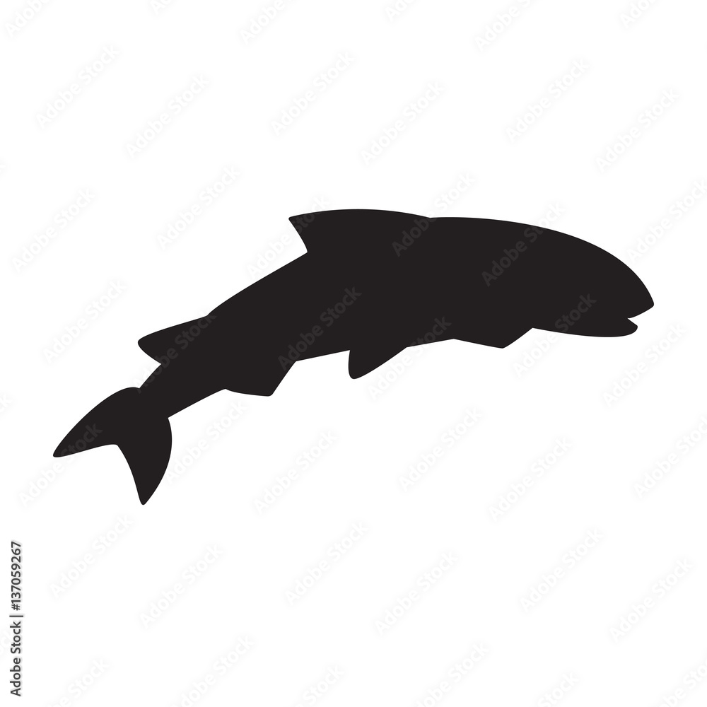 Fish salmon isolated on the white background black without eye Fish salmon isolated on the white background black without eye