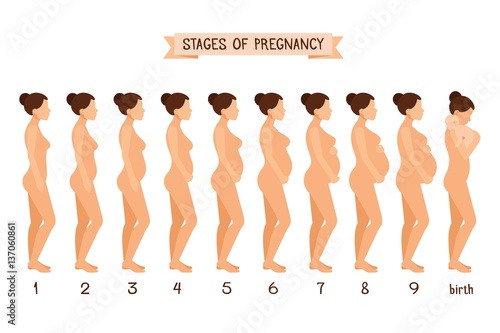 Beautiful pregnant woman and childbirth flat silhouettes for hospital medicine pregnancy infographics