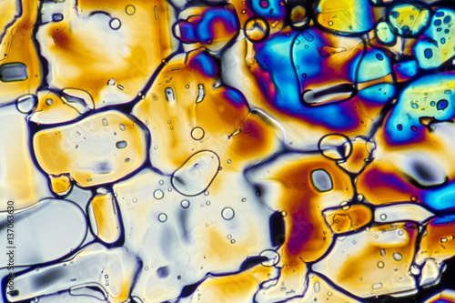 Ammonium sulfate microcrystals