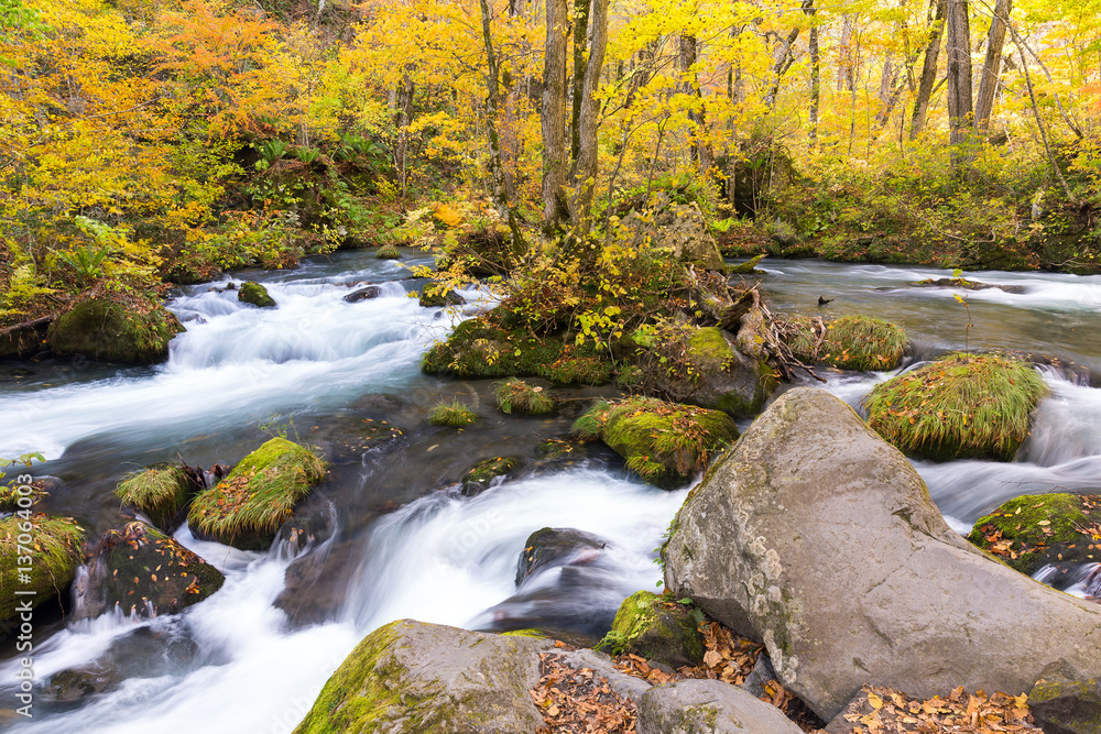 Waterall in Oirase Waterall in Oirase