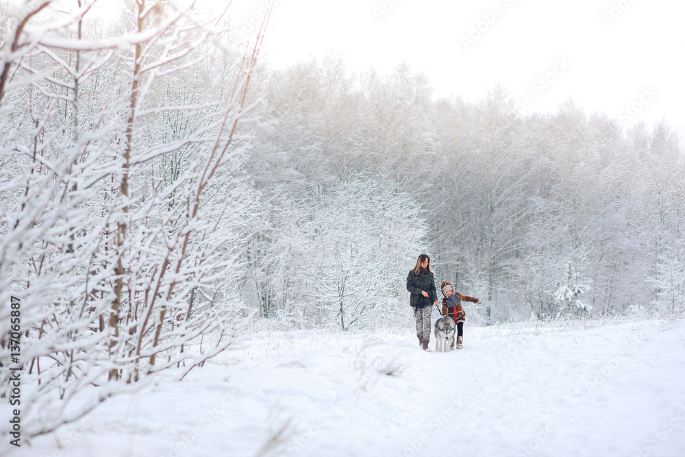 family walks with a huskies