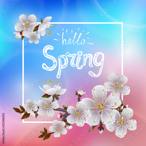 Hello spring