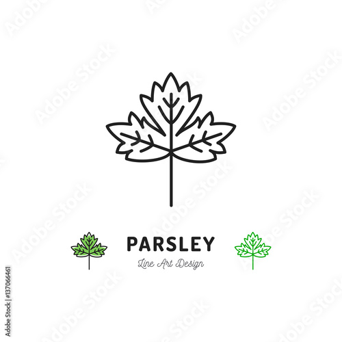 Parsley leaf icon Vegetables logo Spice. Thin line art design, Vector outline illustration